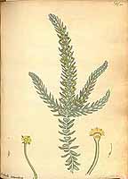  no thumbnail available