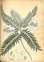  no thumbnail available