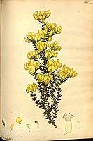  no thumbnail available