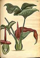  no thumbnail available