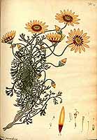  no thumbnail available