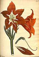  no thumbnail available