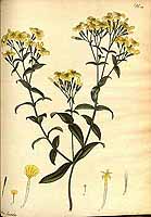  no thumbnail available