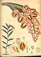  no thumbnail available