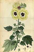  no thumbnail available