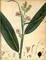  no thumbnail available