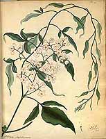  no thumbnail available