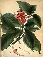  no thumbnail available