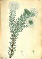  no thumbnail available