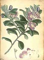  no thumbnail available