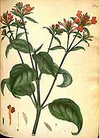  no thumbnail available