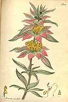  no thumbnail available