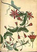  no thumbnail available