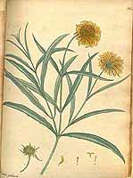  no thumbnail available