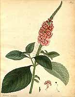  no thumbnail available