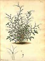  no thumbnail available