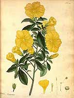  no thumbnail available