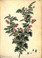  no thumbnail available