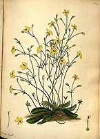  no thumbnail available