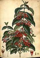  no thumbnail available