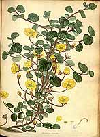  no thumbnail available