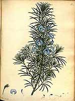  no thumbnail available