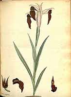  no thumbnail available