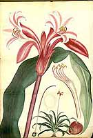  no thumbnail available