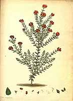  no thumbnail available