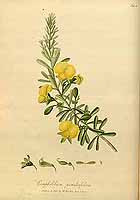  no thumbnail available