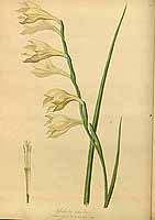  no thumbnail available