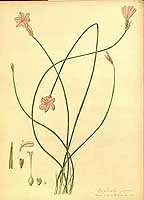  no thumbnail available