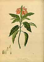  no thumbnail available