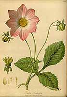  no thumbnail available