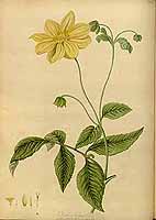  no thumbnail available