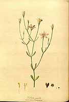  no thumbnail available