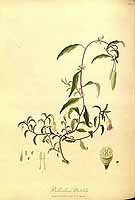  no thumbnail available