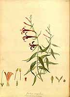  no thumbnail available