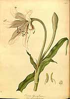  no thumbnail available