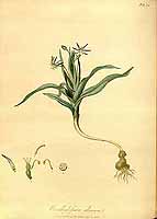  no thumbnail available