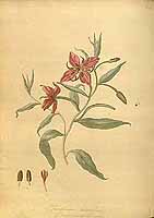  no thumbnail available