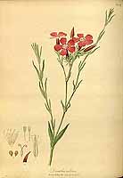  no thumbnail available