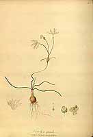  no thumbnail available