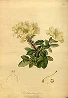  no thumbnail available