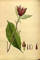  no thumbnail available