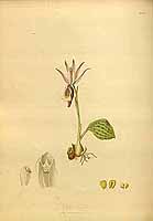  no thumbnail available