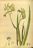  no thumbnail available