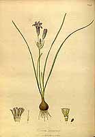  no thumbnail available