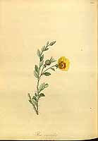  no thumbnail available