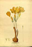  no thumbnail available